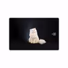 برچسب پوششی ماهوت مدل Persian cat مناسب برای تبلت سامسونگ Galaxy Tab S3 9.7 2017 T820