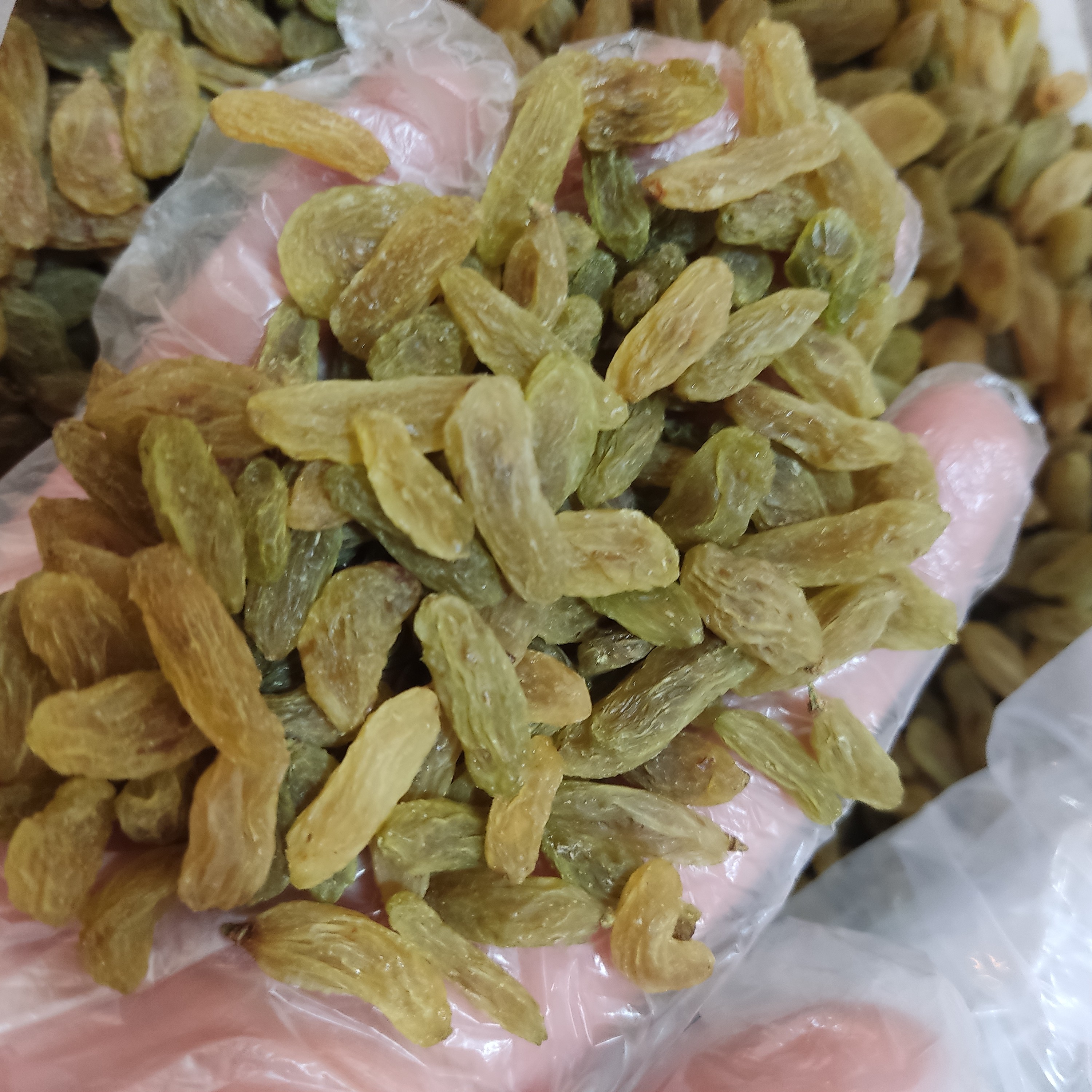 کشمش سبز قلمی لوکس و ممتاز بدون هسته و نرم 500 گرمی