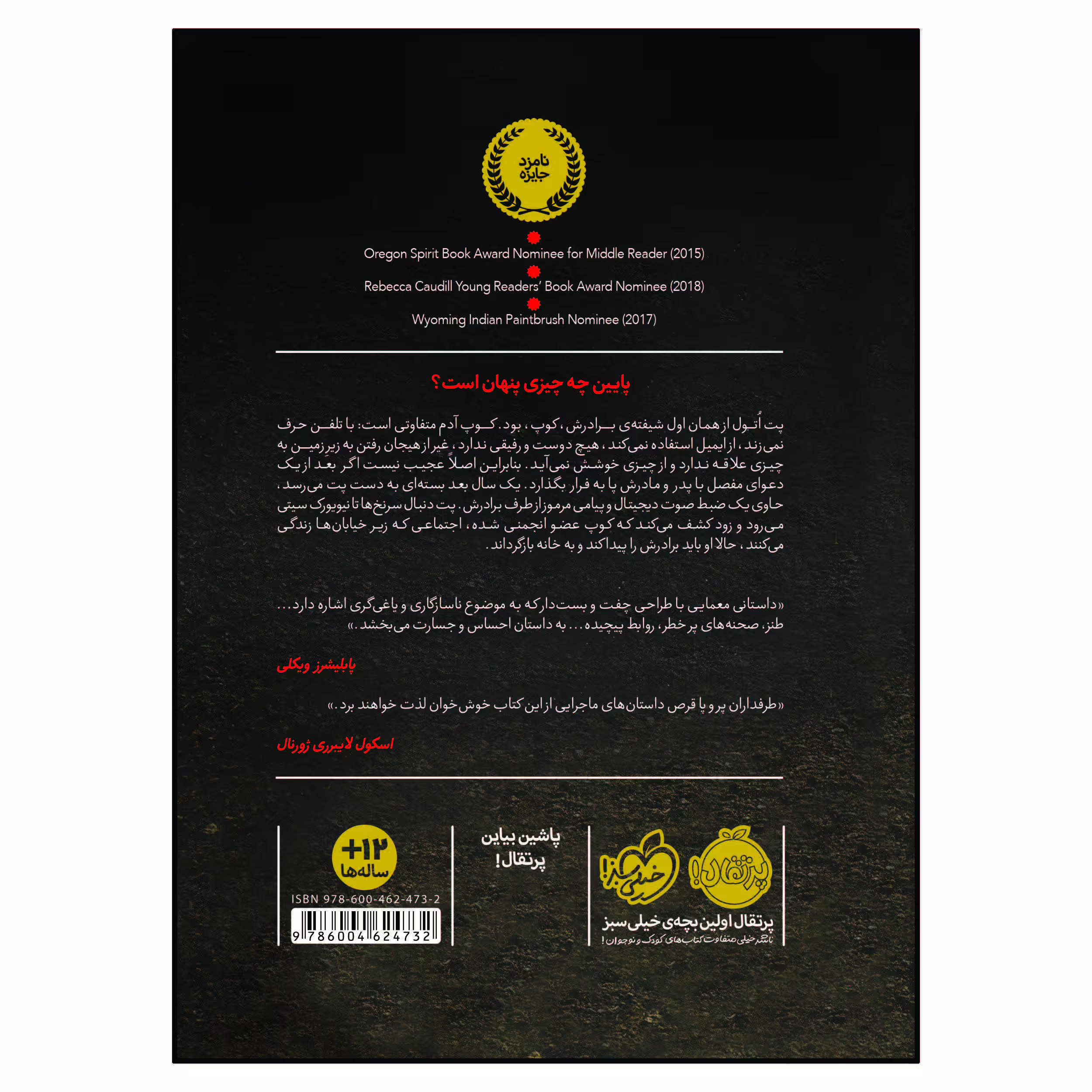 کتاب پایین اثر رولند اسمیت انتشارات پرتقال 