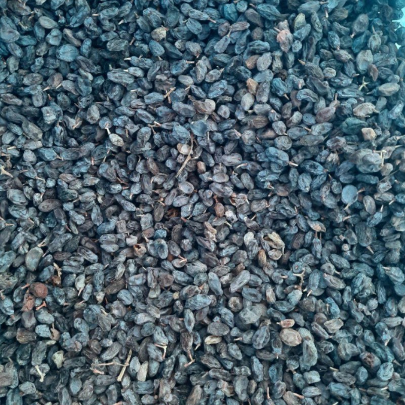 کشمش افتابی گوشتی درجه یک سعادتشهر 20کیلو 