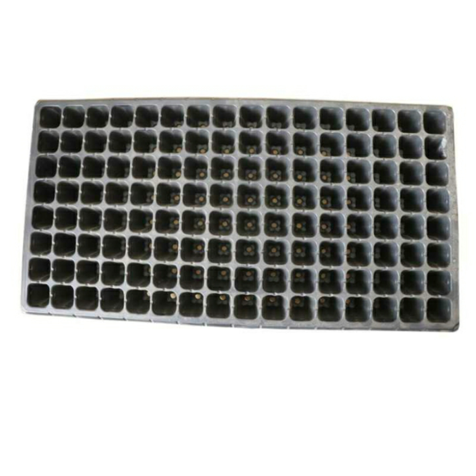 سینی نشا مدل ۱۲۸ حفره ای بسته ۵۰ عددی