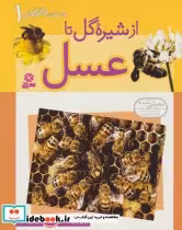 قیمت و خرید کتاب داستان دگرگونی 1 اثر هلنا رمزی | ایده بوک