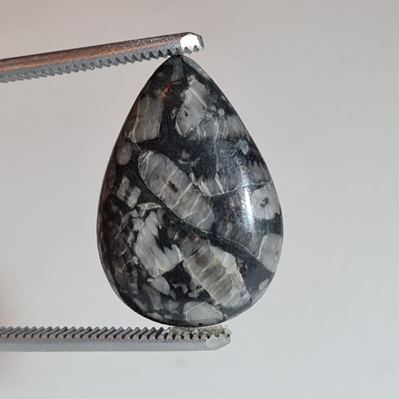 نگین قیمتی کرونایت فسیل طبیعی 3222