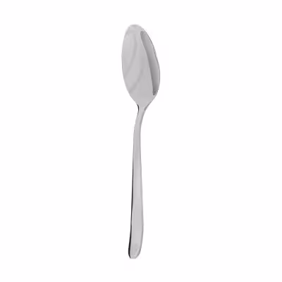 قاشق خورشت تمام استیل مدل دونا