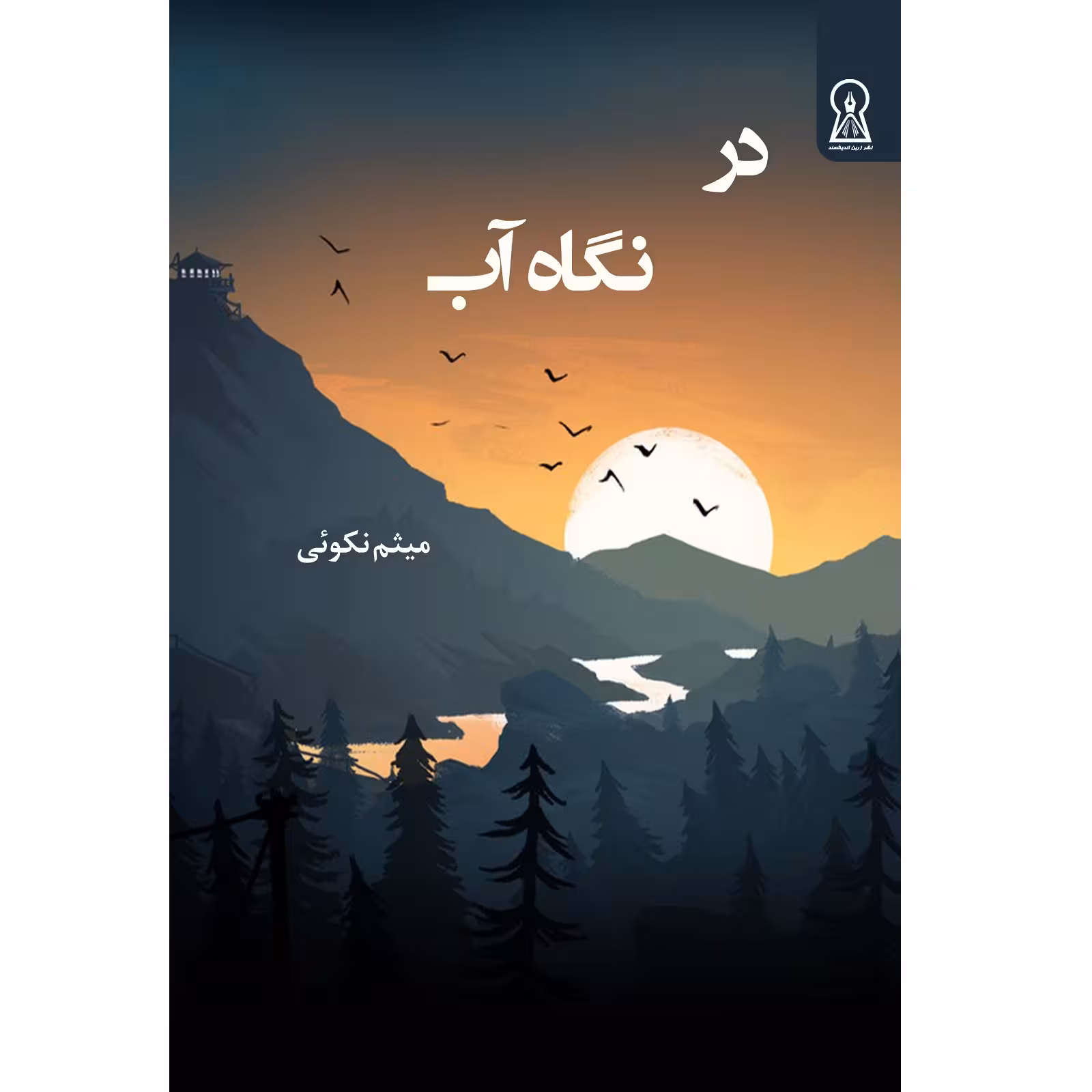 کتاب در نگاه آب اثر میثم نکوئی نشر زرین اندیشمند
