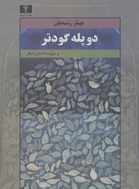 دو پله گودتر و سیزده داستان دیگر - اثر مهیار رشیدیان - انتشارات نیلوفر | چی بخونم