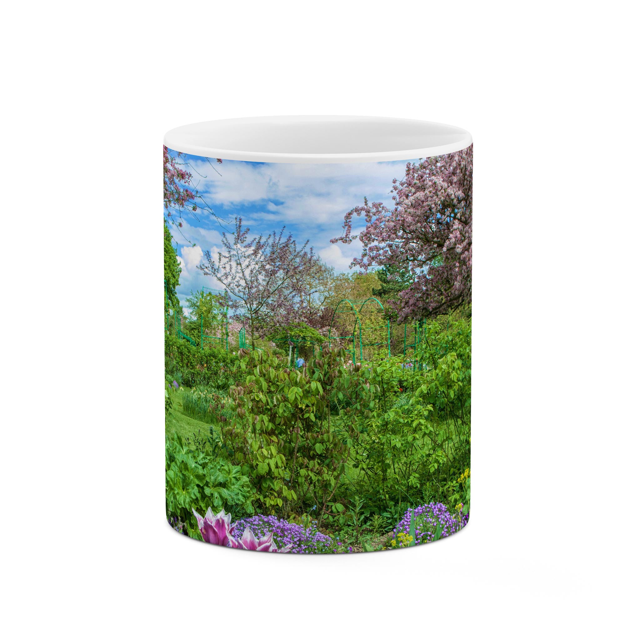 ماگ طرح طبیعت مدل mgp00593