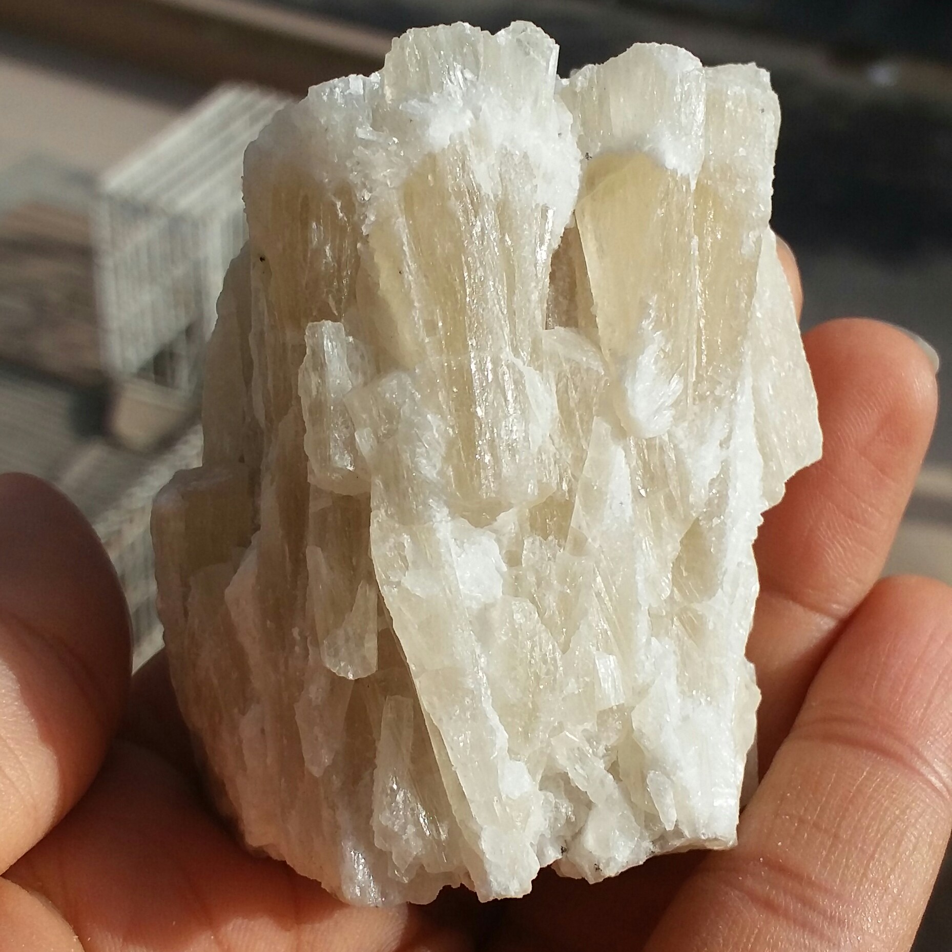 سنگ راف کلکسیونی کلسیت زرد نباتی درشت 100 در 100 طبیعی شاااهکار خلقت
کد 10362