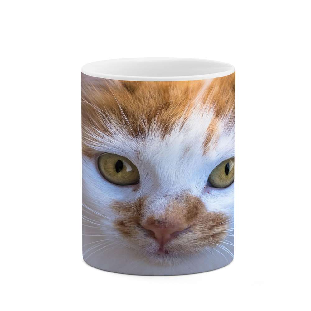 ماگ کاکتی طرح گربه مدل mgs16660