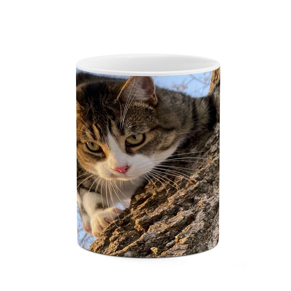 ماگ کاکتی طرح گربه مدل mgs14162