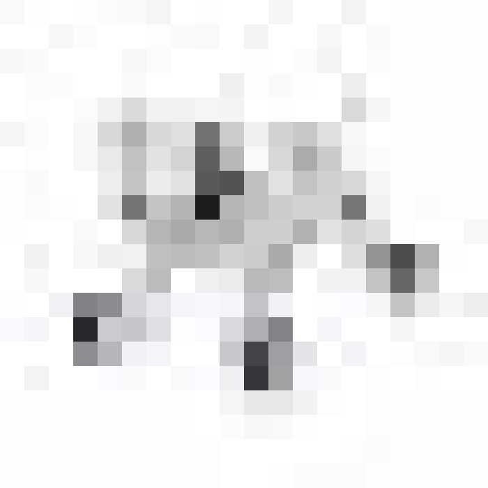 ربات سگ smartکنترلی  مدل  777-338