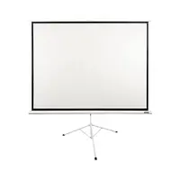 پرده نمایش سلکسون مدل CST250 سایز 250x250 سانتی متر