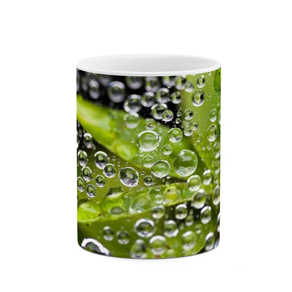 ماگ طرح برگ مدل mgs12139