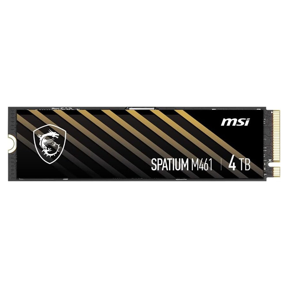 حافظه SSD ام اس آی MSI SPATIUM M461 4TB