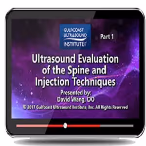 Gulfcoast Ultrasound Evaluation of the Spine &amp; Injection Techniques at 10€ - کتاب پزشکی بهار