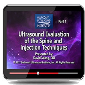 Gulfcoast Ultrasound Evaluation of the Spine &amp; Injection Techniques at 10€ - کتاب پزشکی بهار