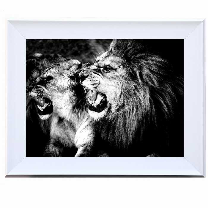 تابلو طرح شیر 