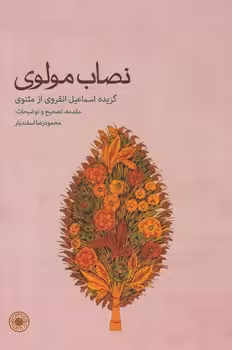 خرید کتاب نصاب مولوی؛ گزیده اسماعیل انقروی از مثنوی — کتابسرای طه