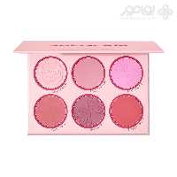 پالت رژگونه 6 رنگ شیگلم سری FLORAL مدل BLUSHING BOUQUET
