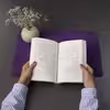 کتاب بعد از ظهر خونین اثر کورمک مکارتی انتشارات کتاب کوله پشتی