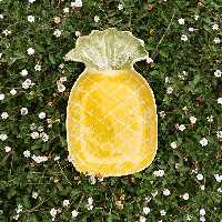 آناناس سرامیکی