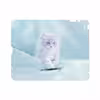 برچسب پوششی ماهوت مدل Cat-1 مناسب برای تبلت اپل iPad 2 2011 A1397