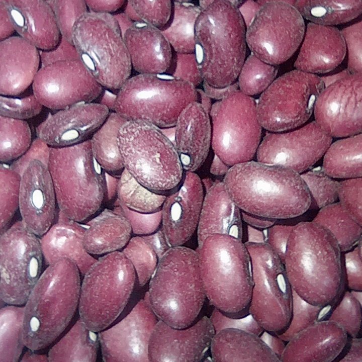 لوبیا قرمز بسته بندی5 کیلوگرمی شالیزارصادق 