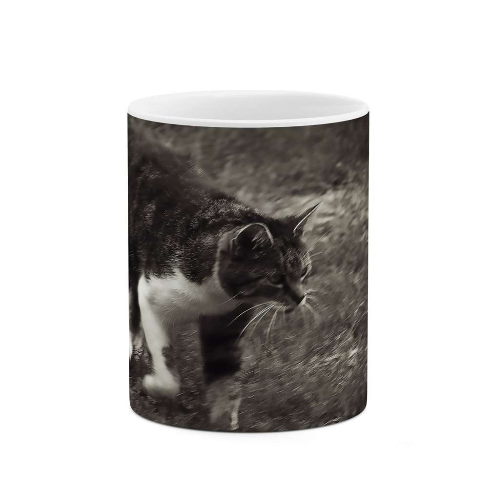 ماگ طرح گربه مدل mgs07900