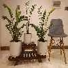 استند گلدان مدل RZ