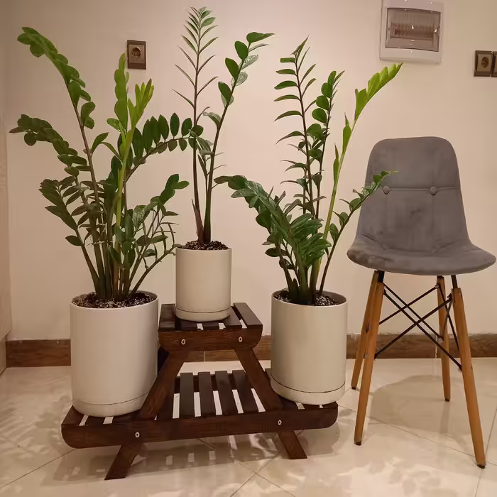 استند گلدان مدل RZ