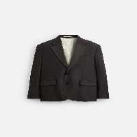 بلیزر مردانه زارا LIMITED EDITION LINEN/LYOCELL SUIT BLAZER | تهران زارا TehranZara