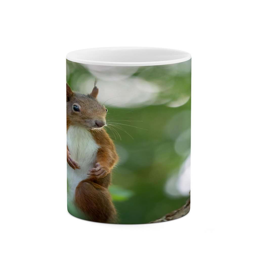 ماگ کاکتی طرح سنجاب مدل mgs15710