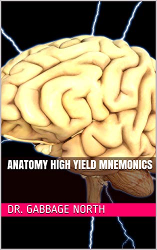 خرید و دانلود نسخه کامل کتاب Anatomy High Yield Mnemonics [2019] -   pdf