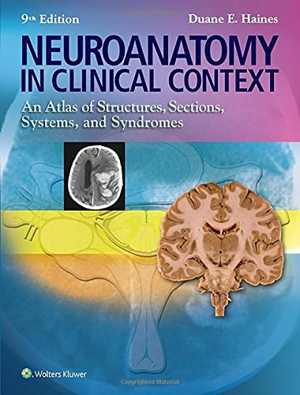[PDF] دانلود کتاب Neuroanatomy In Clinical Context - An Atlas Of Structures, Sections, Systems, And Syndromes, 9th ed, 2014