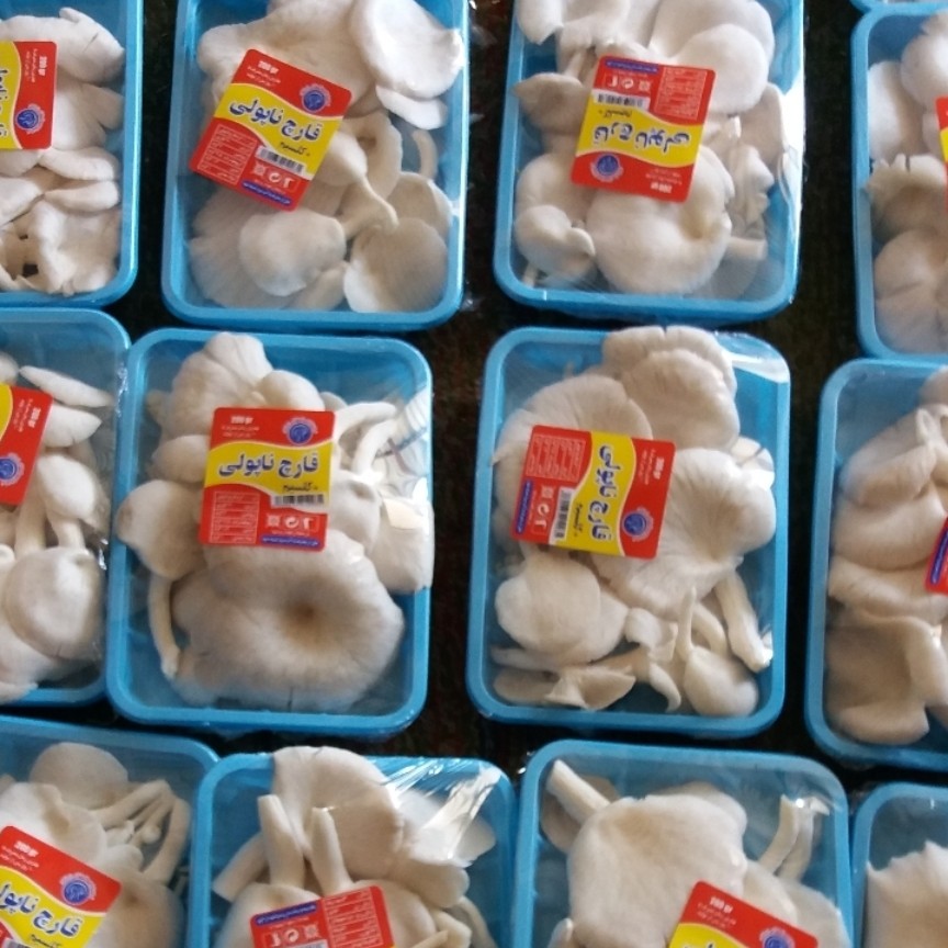 قارچ صدفی 200 گرمی با لیبل برای هایپر مارکتها (200گرمی)