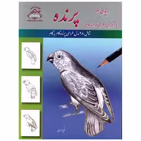 کتاب دنیای هنر آموزش و طراحی قدم به قدم (پرنده)(رحلی)(فرین) اثر فرین رسولی