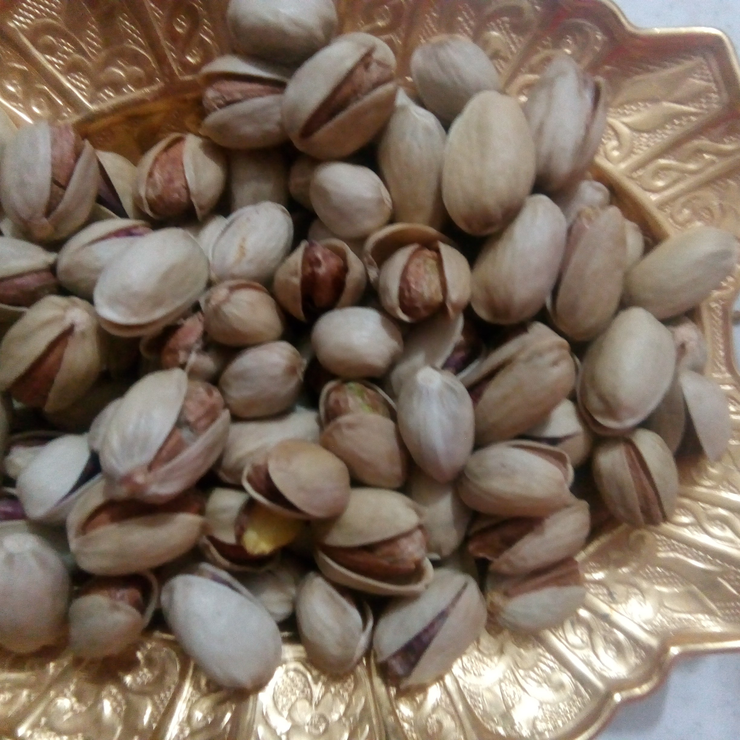 پسته کله قوچی خام درشت یک کیلویی