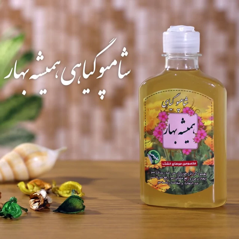 شامپو گیاهی همیشه بهار برکت (ضد التهاب پوست سر)(مناسب موهای معمولی) | amazonchi
