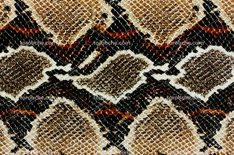 بک گراند پوست مار | گرافیک با طعم تربچه