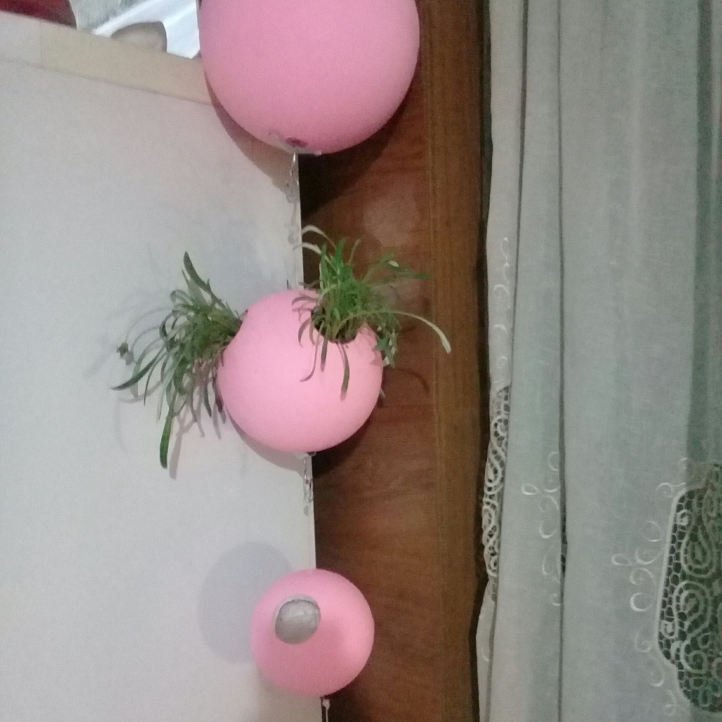 گلدان اماده کشت قطر 11 وزن 30 گرم بصورت اویز واستفاده در سطح و رنگهای متنوع