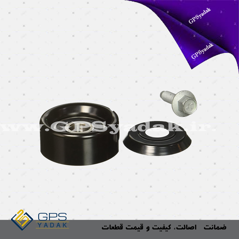 غلتک هرزگرد کیا کارنز