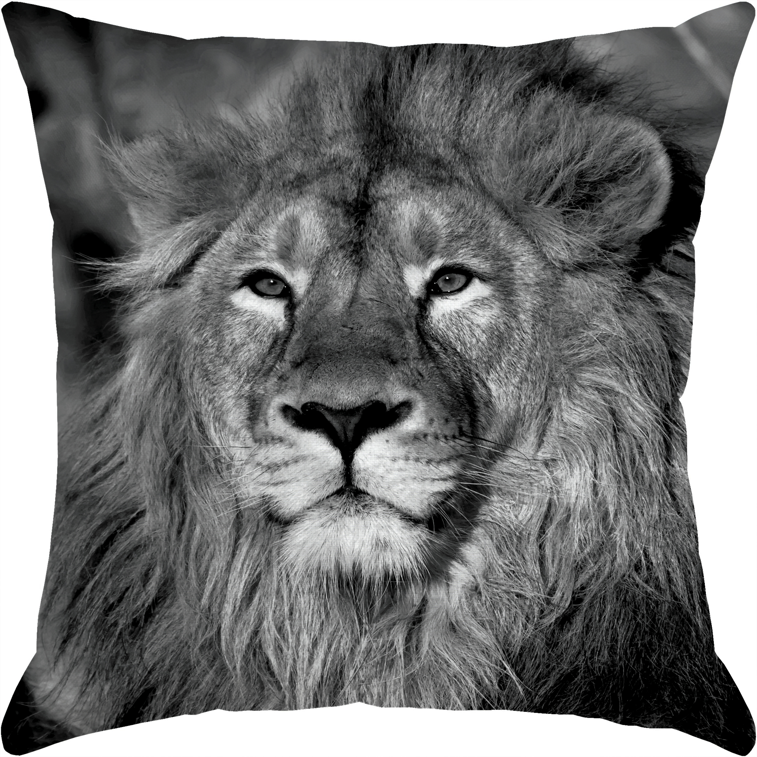 کاور کوسن مدل C1-10851