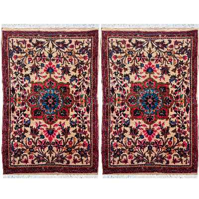 فرش دستبافت یک متری طرح گل کد SH 75 یک جفت