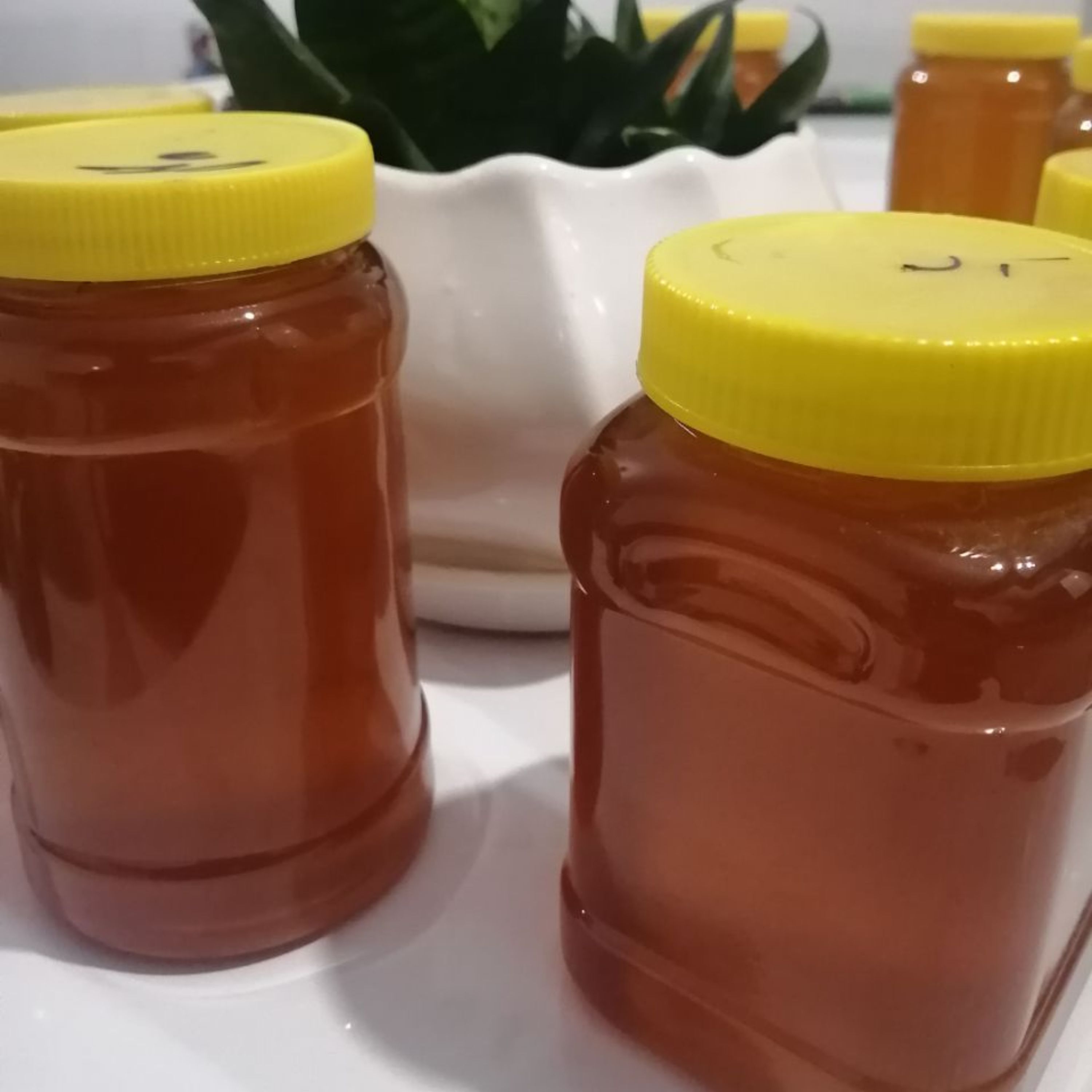 عسل طبیعی گون 1 کیلویی (ارسال رایگان به سراسر ایران)
