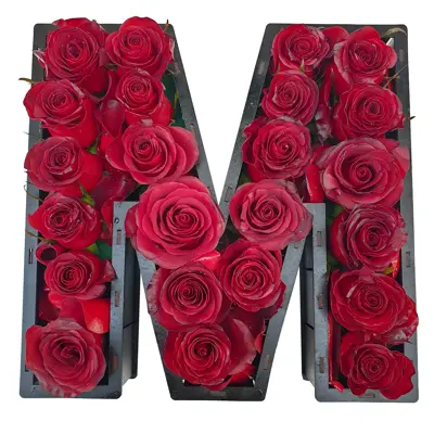 جعبه گل رز کلبه گل سن سون مدل حرف M
