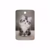برچسب پوششی ماهوت مدل Cat-2 مناسب برای تبلت سامسونگ Galaxy Note 8.0 2013 N5100