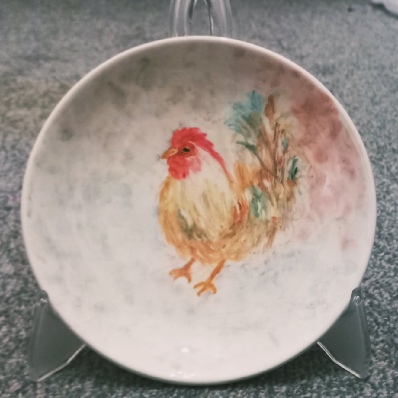 بشقاب سرامیک مصرفی و دکوری