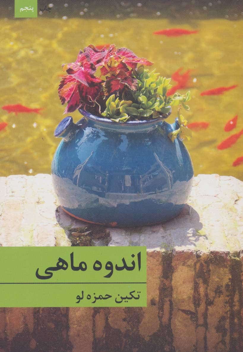 اندوه ماهی - کتابفروشی کوچه کتاب