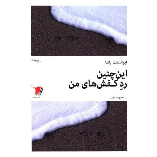 کتاب این چنین رد کفش های من اثر ابوالفضل پاشا