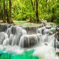 خرید و دانلود عکس Nature-Part-22 کد 36149 | پیک فاکس | Pic Fox